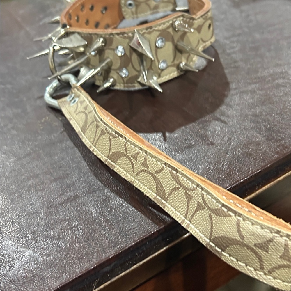 Custom leather heavyweight Dog collar! - Picture 5 of 8